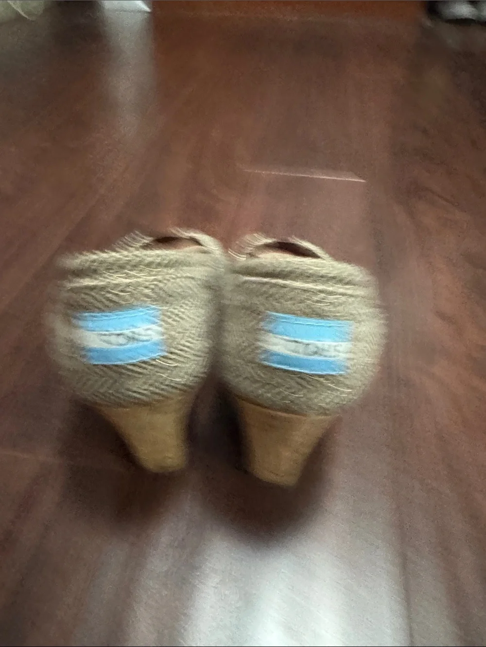 Toms classic wedge
